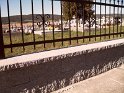 SAM_1378 SAM_1378